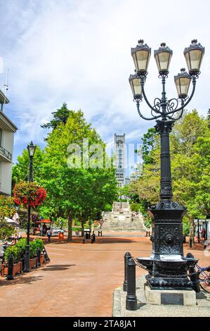 Lampione stradale e Christ Church Cathedral, Trafalgar Street, Nelson, Nelson Region, South Island, nuova Zelanda Foto Stock