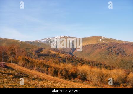 Immergiti nella serenata dorata dell'autunno mentre ammiri le maestose Cime dei Carpazi adornate dalla vibrante tavolozza della natura. L'aria è fille Foto Stock