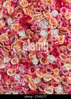 Symphony in Red, Pink e White Roses. Sfondo colorato di fiori. Foto concept design e moda. Foto Stock
