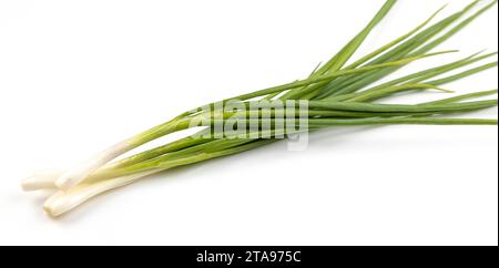 Cipolle verdi giovani su sfondo bianco, primo piano. Un mucchio di cipolle verdi. Foto Stock