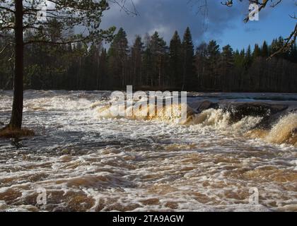 Magnifica vista delle grandi rapide che scorrono attraverso un fiume con alberi lussureggianti sullo sfondo, creando un'atmosfera bella e serena Foto Stock