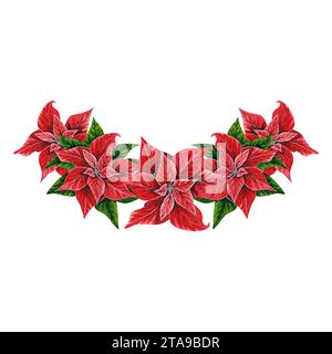 Composizione di fiori di Natale a poinsettia, illustrazione ad acquerello dipinta a mano isolata su sfondo bianco. Illustrazione floreale per decorazione natalizia Foto Stock