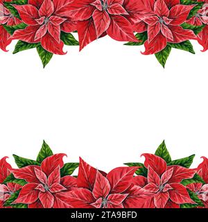 Cornice di fiori di Natale a poinsettia, illustrazione ad acquerello dipinta a mano isolata su sfondo bianco. Illustrazione floreale per decorazioni natalizie Foto Stock