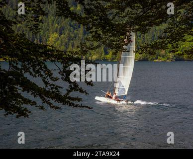 Persona in catamarano sul lago di Bohinj, Parco Nazionale del Triglav, alta Carniola, Slovenia Foto Stock