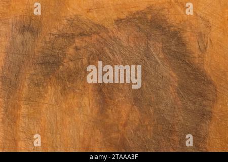 Macchie scure astratte superficie in legno bordo marrone trama ravvicinata macro di sfondo. Foto Stock