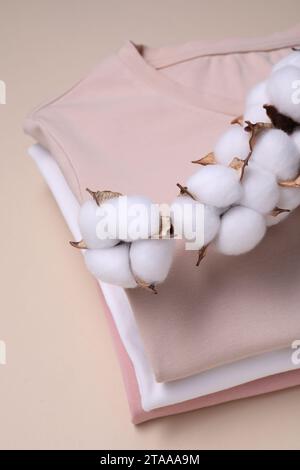 Ramo di cotone con fiori soffici e t-shirt su sfondo beige, vista dall'alto Foto Stock