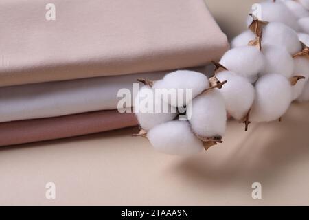 Rametto di cotone con fiori soffici e t-shirt su sfondo beige, primo piano Foto Stock