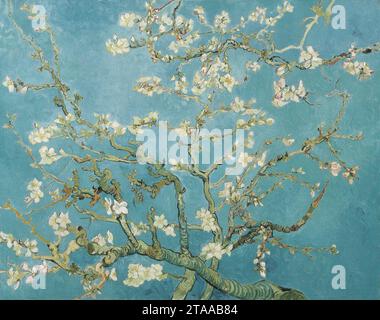 Vincent van Gogh - rami di un albero di mandorlo in fiore (F671). Foto Stock