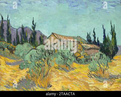 Vincent van gogh cabanes de bois parmi les oliviers et cypres093426). Foto Stock