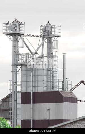 Deposito torre silo prodotti agricoli produzione di piante industriali di semi di grano produzione di grano produzione di frumento. Foto Stock