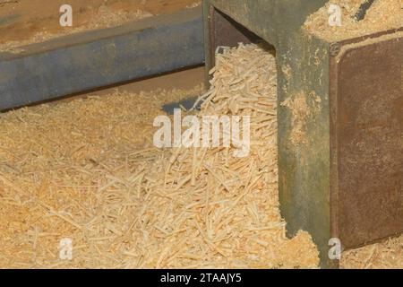 Legno giallo naturale Sawdust rifiuti e riciclaggio del legno nell'industria delle macchine utensili per impianti industriali. Foto Stock