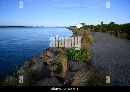 Costa del fiume Waimakariri di mattina presto. North Canterbury, Kaiapoi, nuova Zelanda. Foto Stock