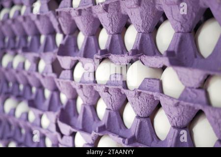 le uova nel supermercato ci sono un sacco di vassoi di cartone Foto Stock