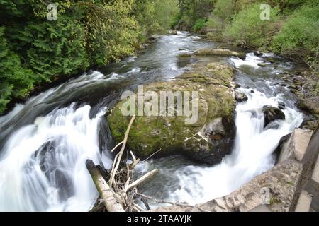 Deschutes River a Tumwater, Washington, USA Foto Stock