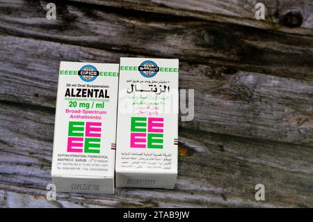 Cairo, Egitto, 6 novembre 2023: Alzental 20 mg per ml di sospensione ( Albendazole ) flacone da 20 ml, anelmintico ad ampio spettro, per Enterobiasi, Ascariasi Foto Stock