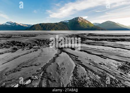 Canali in limo di Turnagain Arm, Kenai Mountains, Portage, Alaska Foto Stock