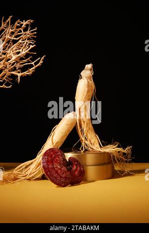 Scene pubblicitarie per la medicina tradizionale cinese, rari ingredienti a base di erbe decorate su sfondo nero. Vista frontale delle radici fresche di ginseng e dell'olfatto Foto Stock