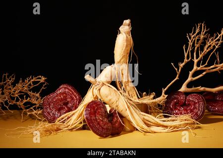 Scena minimalista per la pubblicità e il branding di prodotti farmaceutici con ingredienti vegetali. Erbe rare con funghi ganoderma e radici di ginseng decorate Foto Stock