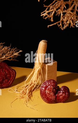 Il fungo Lingzhi e la radice di ginseng sono erbe rare, con molti valori di ​​in protezione e cura della salute. Vista frontale degli ingredienti alle erbe decorate con legno Foto Stock