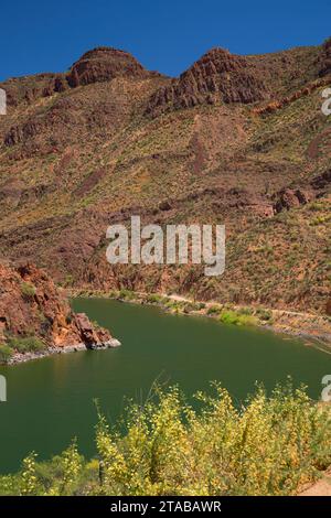 Lago di Apache Apache Trail Scenic Byway, Tonto National Forest, Arizona Foto Stock