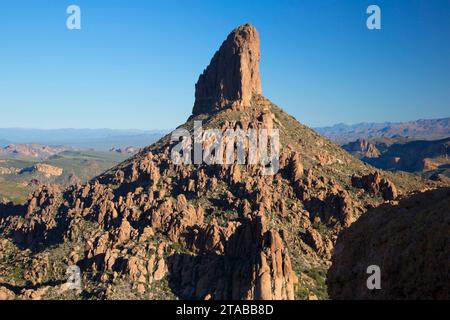 Tessitori ago dal Peralta Trail, superstizione deserto, Tonto National Forest, Arizona Foto Stock
