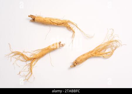 Sullo sfondo bianco, le radici fresche di ginseng sono isolate. Scena minimalista della medicina tradizionale con originale dalla Corea buono per la salute. Vista dall'alto, fl Foto Stock