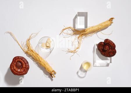 Concetto moderno per pubblicità e branding cosmetico con ginseng e funghi lingzhi su sfondo bianco. Queste erbe forniscono molti benefici per la salute. Foto Stock