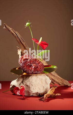 Vista frontale del fresco fungo lingzhi su vassoio dorato decorato con radici di ginseng rosse, blocco di pietra, ramoscello secco e fiore su sfondo marrone. Naturale Foto Stock