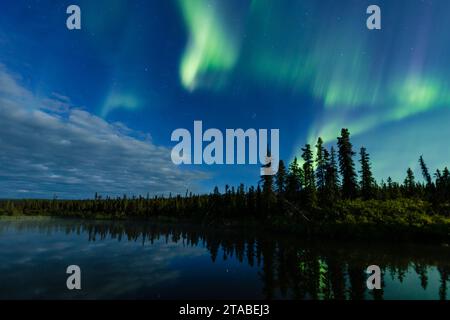 Aurora boreale sul fiume Maclaren, Alaska Foto Stock