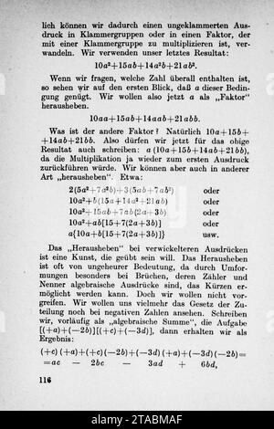 Vom Einmaleins zum Integral - pagina 116. Foto Stock