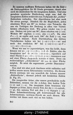 Vom Einmaleins zum Integral - pagina 242. Foto Stock