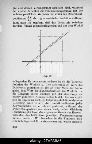 Vom Einmaleins zum Integral - pagina 338. Foto Stock