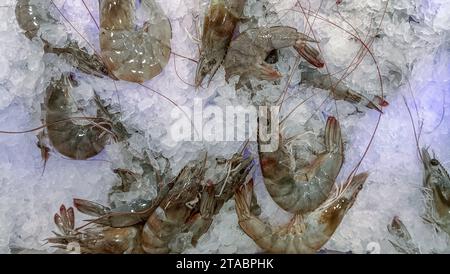 Vendita di gamberetti surgelati crudi freschi nei supermercati Foto Stock