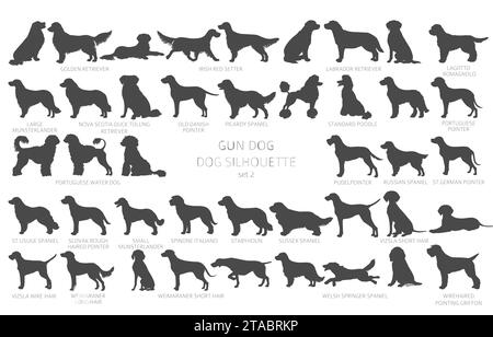 Il cane genera silhouette, un ritaglio semplice. Cani da caccia, collezione di cani da pistola. Illustrazione vettoriale Illustrazione Vettoriale
