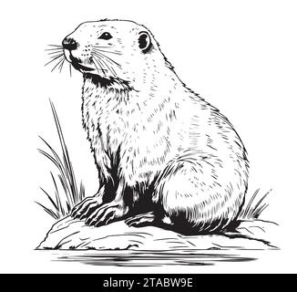 Beaver rodent mammifero. Imitazione di gratta e vinci. Immagine disegnata a mano in bianco e nero. Illustrazione del vettore di incisione Illustrazione Vettoriale