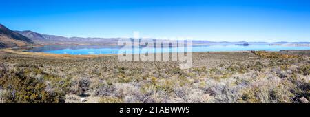 Vista panoramica panoramica del lago MONO, famose formazioni rocciose saline di Tufa, Lee Vining, California USA, Sierra Nevada orientale. Skyline blu di Sunny Day Foto Stock