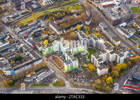 Luftbild, WohnHochhäuser City-Wohnpark mit Grün-Weißen Hausfassaden, Platanenhof mit Bäumen im Innenhof, umgeben von herbstlichen Laubbäumen, Dellviertel, Duisburg, Ruhrgebiet, Nordrhein-Westfalen, Deutschland ACHTUNGxMINDESTHONORARx60xEURO *** Vista aerea, edifici residenziali alti, parco residenziale cittadino con facciate verdi e bianche, cortile di platani con alberi nel cortile interno, circondato da alberi decidui autunnali, Dellviertel, Duisburg, zona della Ruhr, Renania settentrionale-Vestfalia, Germania ACHTUNGxMINDESTHONORARx60xEURO credito: Imago/Alamy Live News Foto Stock