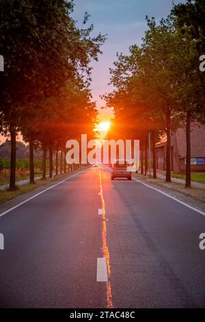 Questa immagine cattura l'incantevole momento di un tramonto perfettamente allineato con un viale, i suoi raggi si estendono lungo la strada e si immergono in una calda luce dorata. Il sole, una sfera ardente, si trova appena sopra il punto di scomparsa, gettando lunghe ombre dagli alberi che fiancheggiano la strada. Un'auto solitaria percorre la strada, prendendo gli ultimi momenti di luce del giorno, mentre il giorno lentamente si dissolve nel fresco della sera. Sunset Boulevard: Il Golden End di un viaggio. Foto di alta qualità Foto Stock