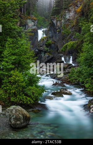 Vista del torrente, Alaska Foto Stock