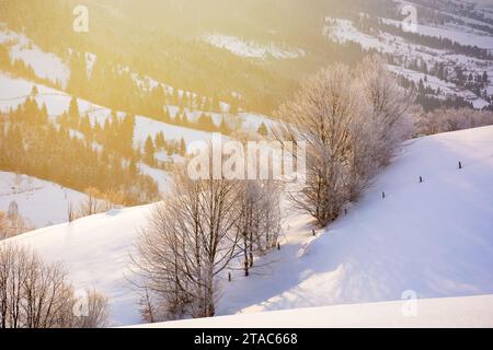 paesaggio di campagna montuoso in inverno. paesaggio con alberi ghiacciati su una collina innevata alla luce del mattino Foto Stock