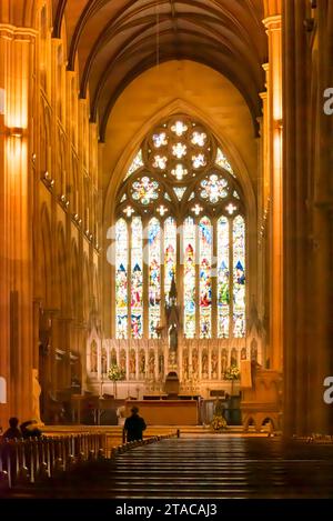 Immagine interna della Cattedrale di St Mary che mette in risalto l'arenaria Pyrmont color miele di provenienza locale e la sua architettura in stile neogotico Foto Stock