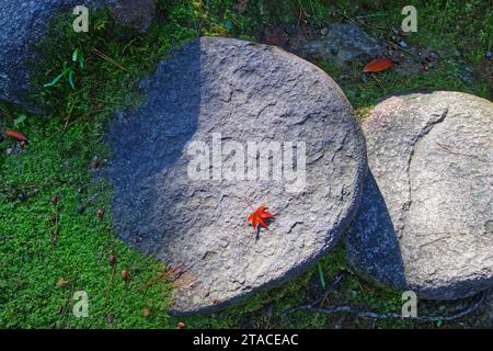 Foglia di acero rosso sui gradini di pietra grigia in un giorno autunnale Foto Stock