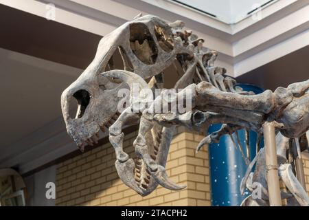 Killing CLAW o ungual di Utahraptor, Utahraptor ostrommaysi, nel USU Eastern Prehistoric Museum di Price, Utah. Foto Stock