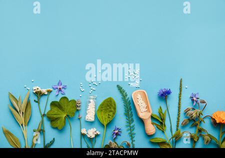 Appartamento vista laici medicina omeopatica pillole in vasetti e versato intorno su fondo azzurro chiaro, decorato con un fresco e varie erbe e piante e fiori. Foto Stock