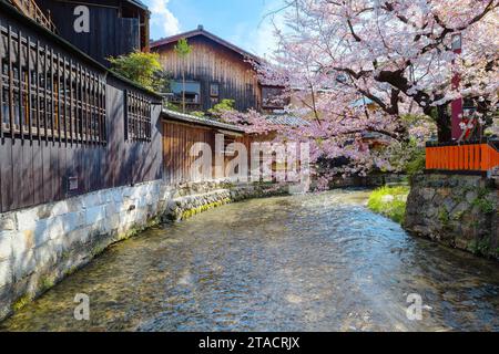 Kyoto, Giappone - 2 aprile 2023: Shinbashi dori è il luogo dove le case da tè Gion-ochaya si trovano fianco a fianco sulla strada insieme alla corsa di Shir Foto Stock