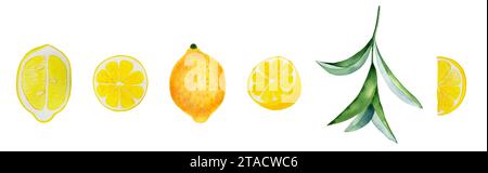 Set di limoni maturi gialli e foglie acquerello. Agrumi interi e fette di clipart. Illustrazione di piante tropicali disegnate a mano. Foto Stock