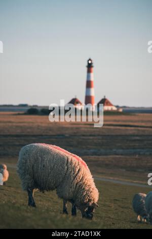 Leuchtturm Westerhever Foto Stock