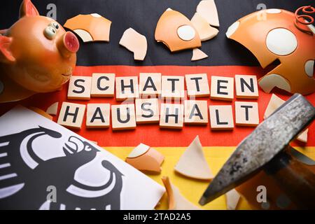 Il salvadanaio schiacciato sulla bandiera tedesca con la scritta Shadow budget Foto Stock
