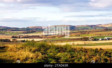 Dundee, Tayside, Scozia, Regno Unito. 30 novembre 2023. Tempo nel Regno Unito: Nella zona rurale di Dundee, il sole invernale con il clima mite crea spettacolari panorami sulle Sidlaw Hills e sulla Strathmore Valley. Crediti: Dundee Photographics/Alamy Live News Foto Stock