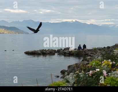 Losanna, Svizzera - 5 giugno 2017: Gente sull'argine sul lago di Ginevra a Losanna con montagne sullo sfondo. Il corvo che sorvola il Foto Stock